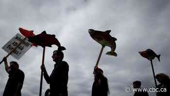Watchdog finds RCMP's policing of anti-pipeline protesters reasonable — but sees gaps in surveillance policies