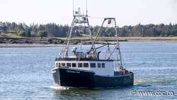 6 were on board fishing vessel at centre of search in Bay of Fundy
