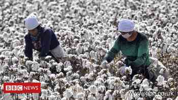 UK business 'must wake up' to China's Uighur cotton slaves