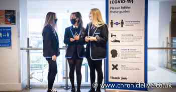 All secondary schools and colleges in England to get access to rapid testing