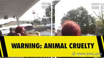 Woman Arrested for Throwing Dog Off Balcony, 'Miracle' Survives