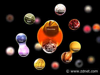 Sony AI launches new project dedicated to gastronomy research