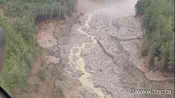 Massive landslide on B.C. coast imperils dwindling salmon stocks, says First Nations chief