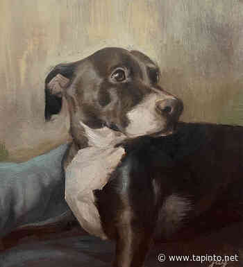 CCM Fine Arts and Design Portfolio Exhibit Moves Online - TAPinto.net