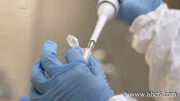 Rhode Island could get 29000 coronavirus vaccine doses by the end of the year - WLNE-TV (ABC6)
