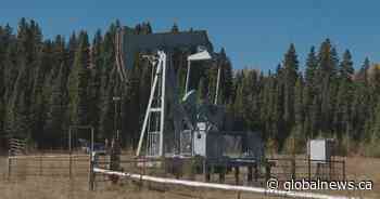 Alberta officials warned oilpatch faced ‘landslide’ of failures. Then coronavirus struck