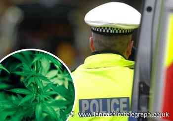 Five arrested as police dismantle cannabis farm