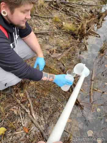 LSSU: Dr. Stephen Kolomyjec Named Faculty Coordinator of Hunt Creek Field Station