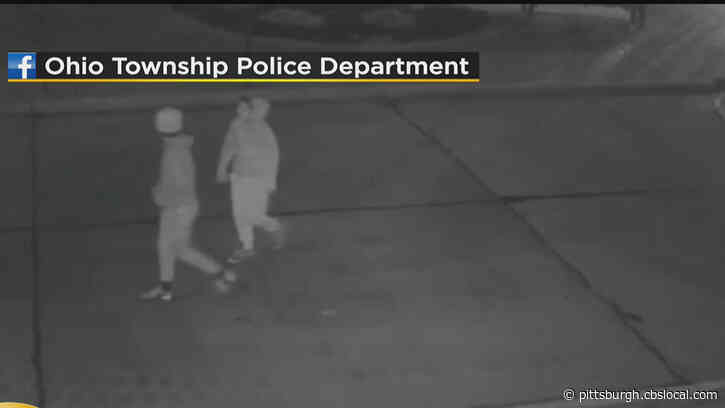 Ohio Township Police Searching For Suspects In Vandalism Of Christmas Tree