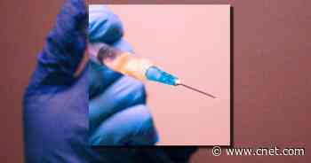 COVID-19 vaccines are safe, even with long-term data lacking     - CNET