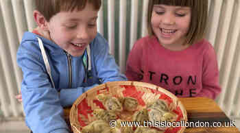 Bromley siblings hatch 12 chicks during 'eggsperiment'