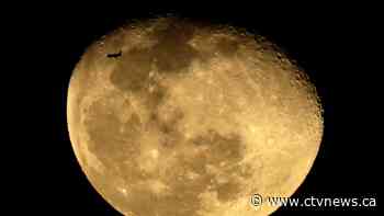 Canada inks deal with U.S. to send astronaut around the moon