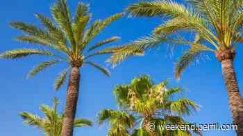 Clima en la Ciudad de Buenos Aires: miércoles 16 de diciembre - Weekend