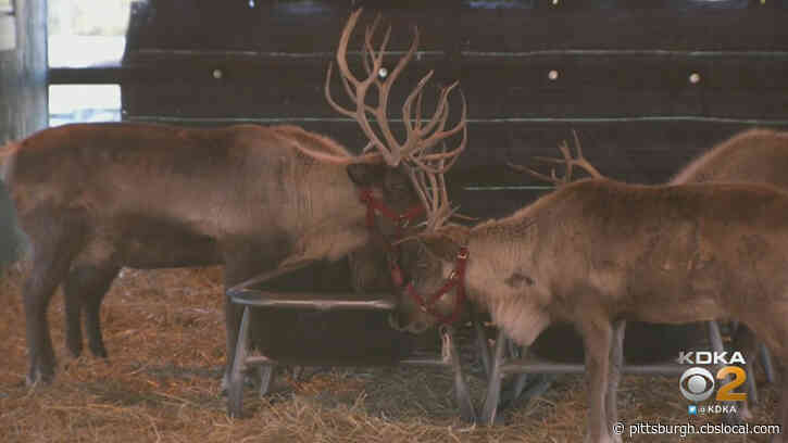 Pennsylvania State Vet Clears Santa’s Reindeer For Take Off