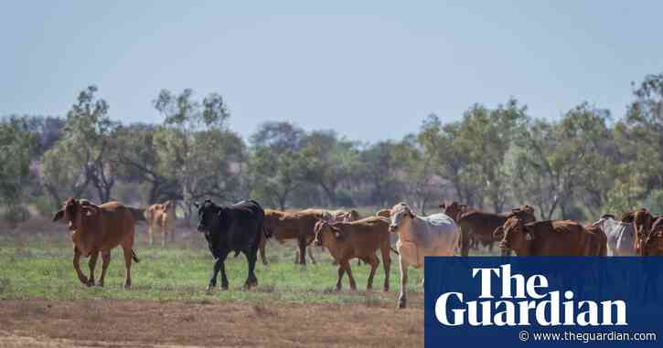 As storms swamp Australia's east coast, some farmers are still enduring relentless drought
