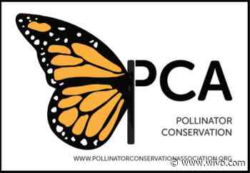 Buffalo conservation group responds to Trump admin not listing monarch butterfly as an endangered species