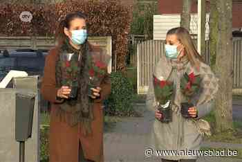 Kerstrozen voor senioren in Antwerpse zuidrand (Edegem) - Het Nieuwsblad