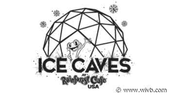 Niagara Falls' Rainforest Cafe to open 'Ice Caves' outdoor dining attraction