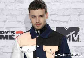 Liam Payne says Jesy Nelson 'Zayn'd out' of Little Mix