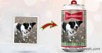 Budweiser Wants to Put Your Dog’s Picture on a Can This Holiday Season