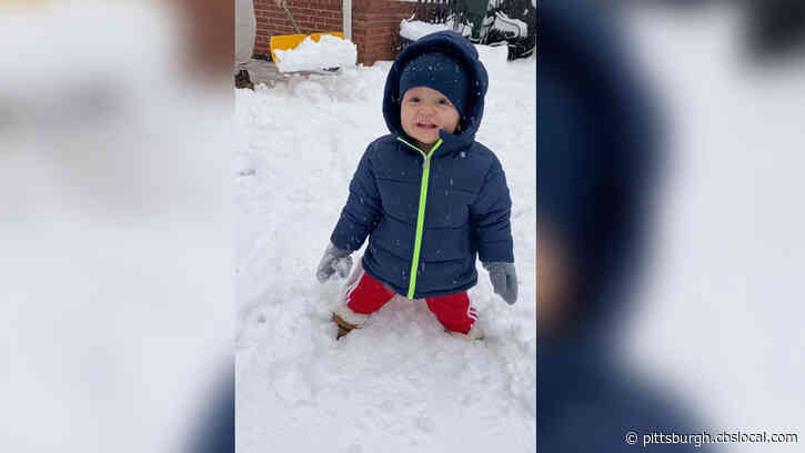 Snow In Pittsburgh: Adorable Video Shows Jefferson Hills Boy First Time Experiencing Snow