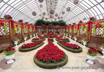 $450,000 matching grant will restore rooms, ponds at Phipps Conservatory