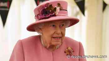 Queen Elizabeth II experiences video chat difficulties during conference call
