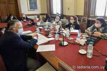 Versiones contradictorias en la comparecencia de Bayardi y el coronel Martínez en el Senado por las actas de Gilberto Vázquez - la diaria