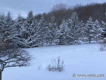 PHOTOS: Snow blankets WNY overnight