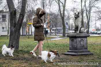 Estonians erect statue and give home to beloved stray dog - St Helens Star