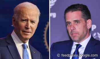 Hunter Biden case threatening 'family conflicts' amid Joe Biden transition
