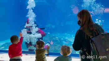 Dive into the magic of Christmas with Scuba Santa at NJ's Adventure Aquarium