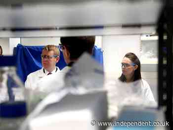 New Zealand buys enough Covid vaccine for the whole country