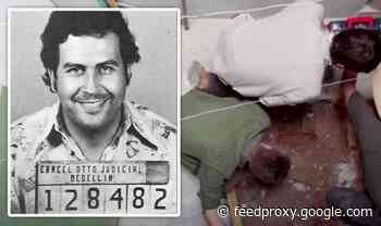 Pablo Escobar: CIA uncovered ‘large stash’ under safe house in hunt for ‘missing millions’