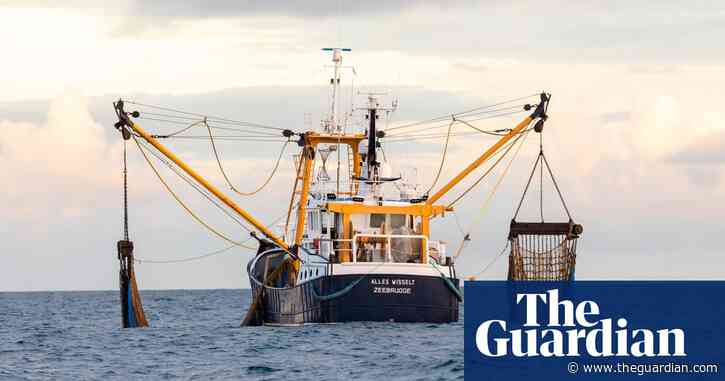 EU set to miss targets on sustainability after agreeing fishing quotas