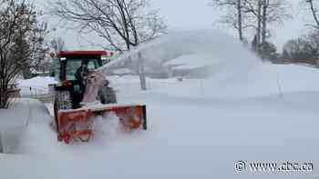 City of Saskatoon says more money needed to clear secondary paths through parks