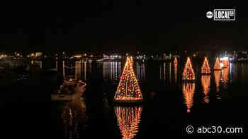 Floating Christmas trees light up bay continuing holiday tradition