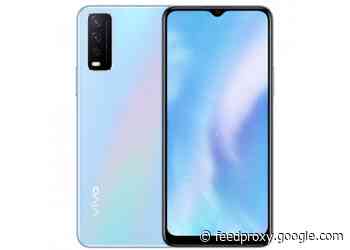 Vivo Y30 Standard Edition smartphone gets official