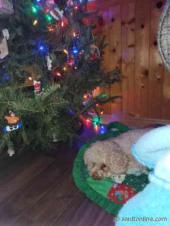 Holiday Pic of the Day: Kelly Cerenzia