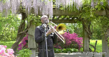 The Year in Improvised Music: ‘Everything’s Changing. So the Music Should.’