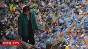 China biodegradable plastics 'failing to solve pollution crisis'