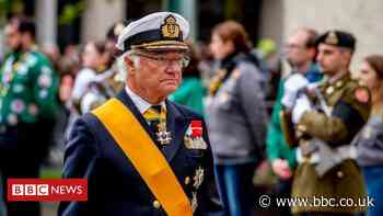 Coronavirus: Swedish King Carl XVI Gustaf says coronavirus approach 'has failed'
