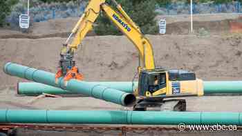 Trans Mountain project goes into voluntary shutdown after workplace safety 'incidents'