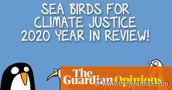 2020 was a poisonous sea snake lurking in the foam-covered, storm-lashed beaches of a year | First Dog on the Moon