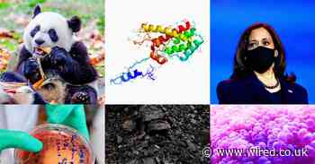 It’s not all bad! 20 things that made the world a better place in 2020