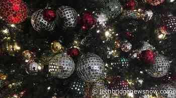 Snow days, virtual opera: The office holiday party goes on - Lethbridge News Now