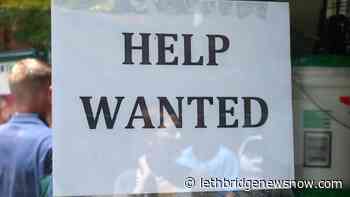 Ottawa announces $185-million to help Albertans re-enter the workforce - Lethbridge News Now