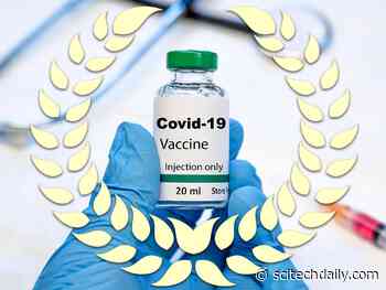 Science’s 2020 Breakthrough of the Year: Effective COVID-19 Vaccines