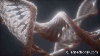 New COVID-19 Test Targets Three Viral Genes to Increase Reliability – Could Reduce Virus Spread