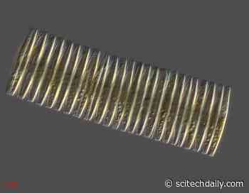 What Caused the Ice Ages? Tiny Ocean Fossils Provide Key Evidence